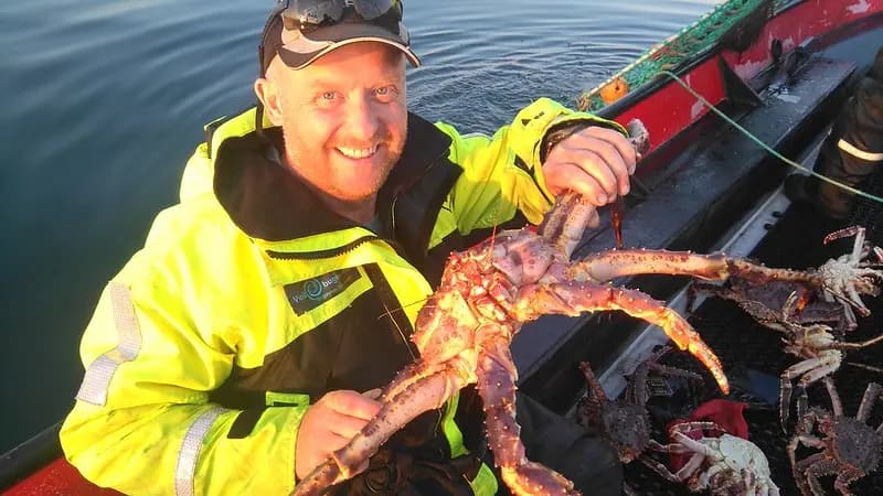Kongekrabbesafari Bugøynes
